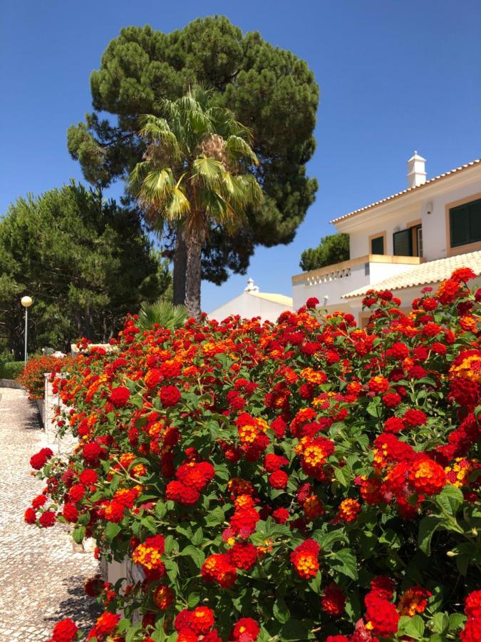 Algarve Albufeira, Quiet Apart With Pool At 10 Mn Walk From Praia Da Falesia Olhos de Agua  Exteriör bild